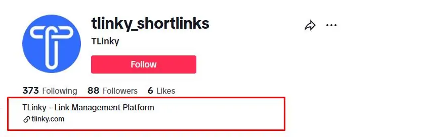 Understanding the TikTok Bio Character Limit
