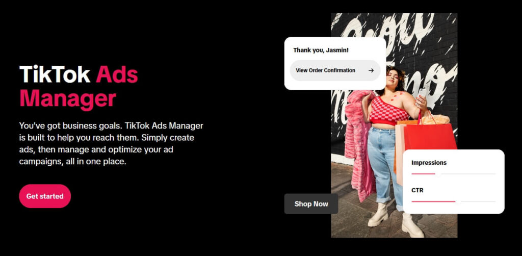 TikTok Ads Manager
