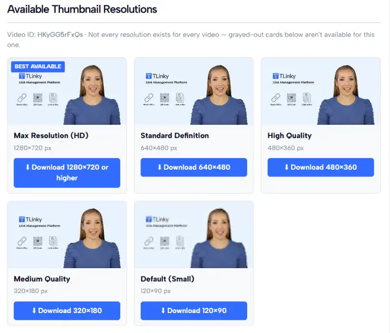 Downloaded YouTube thumbnail preview with multiple resolution options