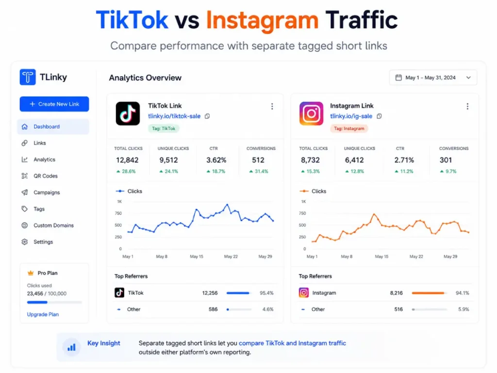 TikTok and Instagram traffic sources