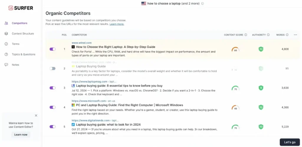 Using Surfer